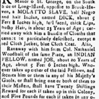 http://s13.postimg.org/mlor5uuhj/Runaway_Slave.gif