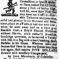 11-02-1764.png