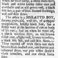 Berkshire Chronicle (Pittsfield, Massachusetts) • 06-05-1788.gif